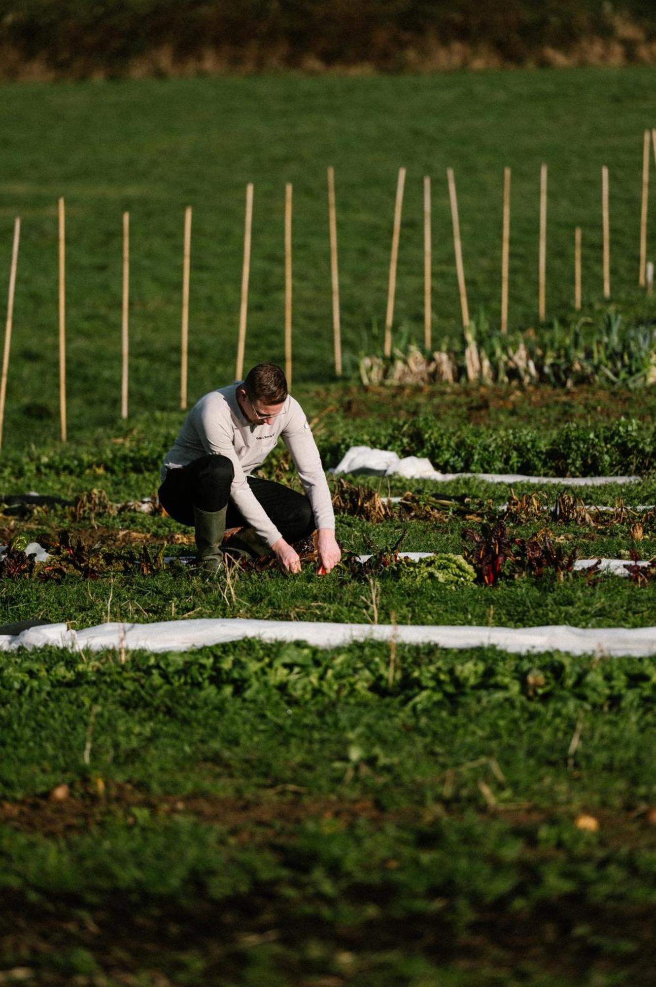 Chateau St Gerlach - Oostwegel Collection, Member Of Relais And Chateaux Valkenburg aan de Geul Екстер'єр фото A farmer working in a field